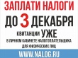 Срок уплаты налогов истекает 3 декабря