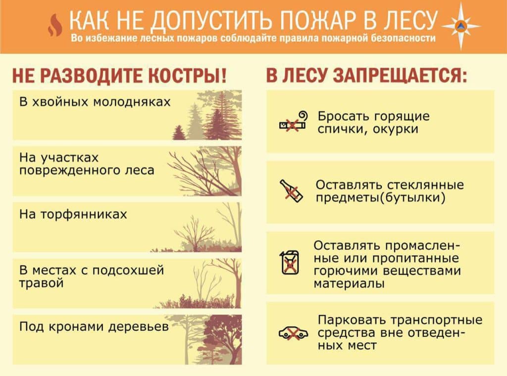 как не допустить пожар в лесу .jpg