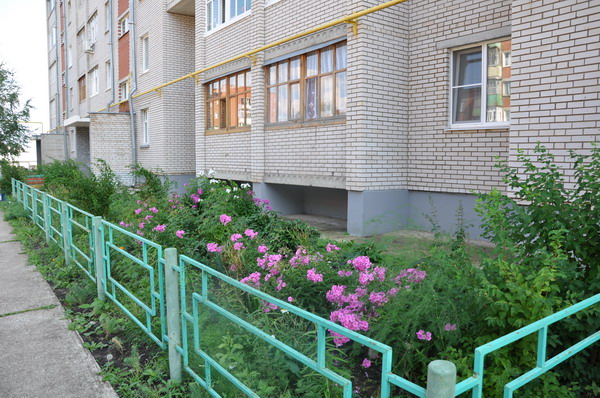 DSC_6479_resize.JPG