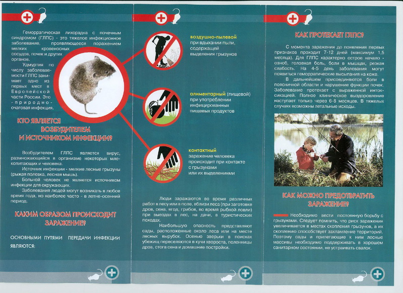 глпс            . (1378364 v1)_page-0002.jpg