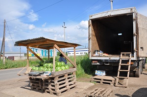 DSC_6896.JPG